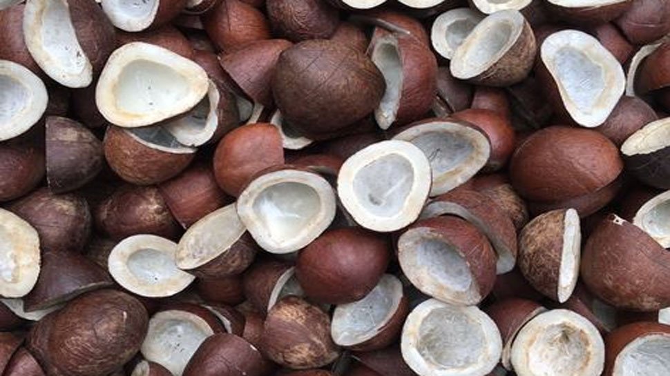 पोषक तत्वों से भरपूर होता है सूखा नारियल , लेकिन इसे खाने से पहले जान लें इसके फायदे और नुकसान के बारे में