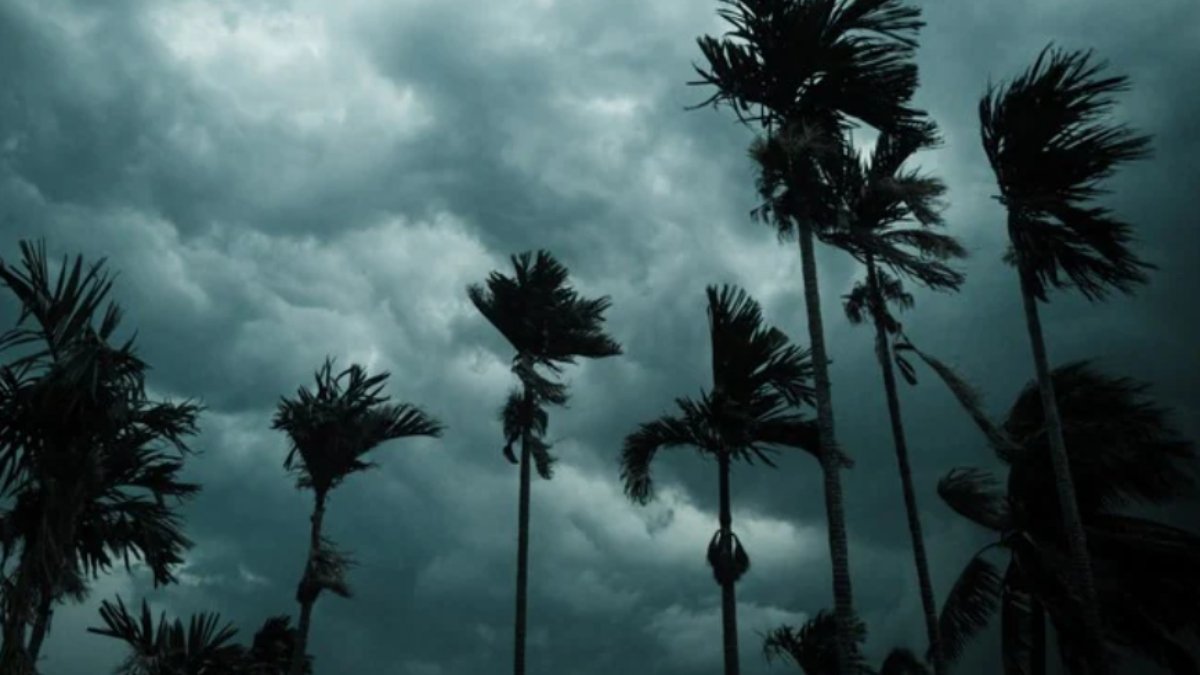 केरल में मानसून ने दी दस्तक, हो रही झमाझम बारिश