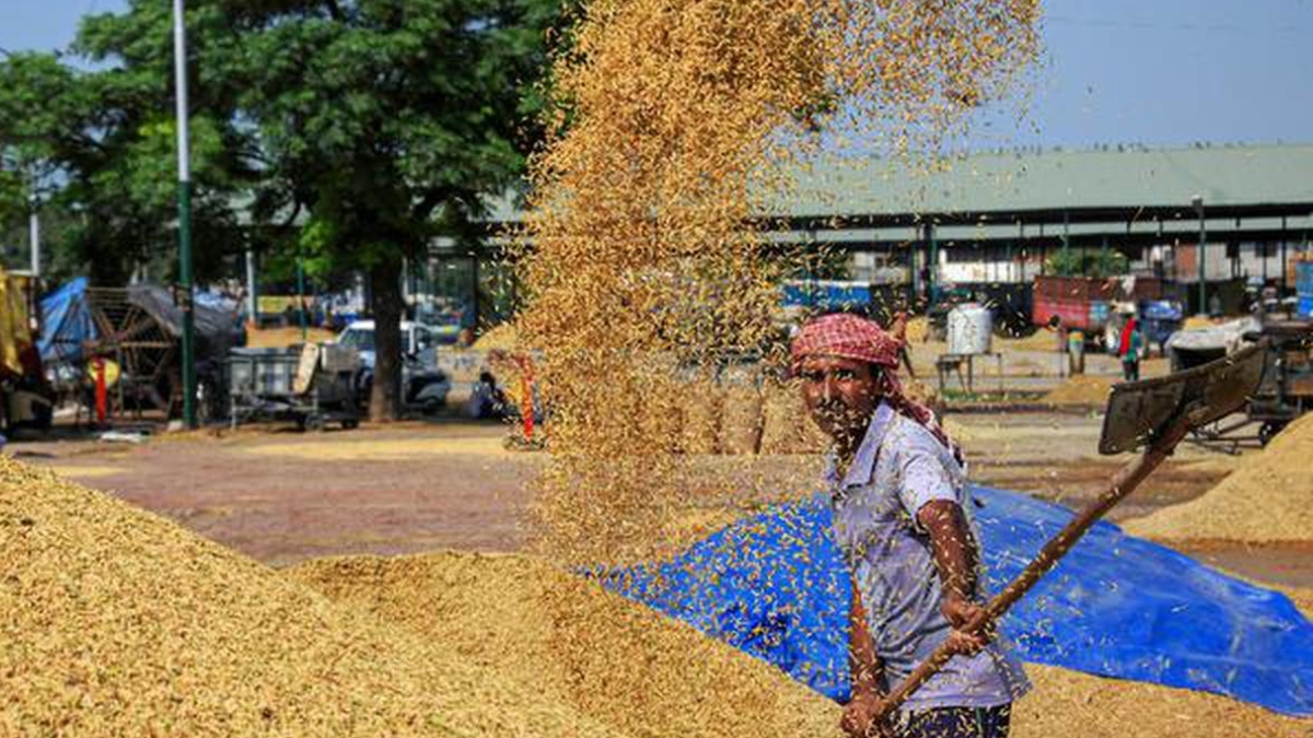 हरियाणा में खरीफ विपणन सीजन 2024-25 के तहत धान की सरकारी खरीद शुरू