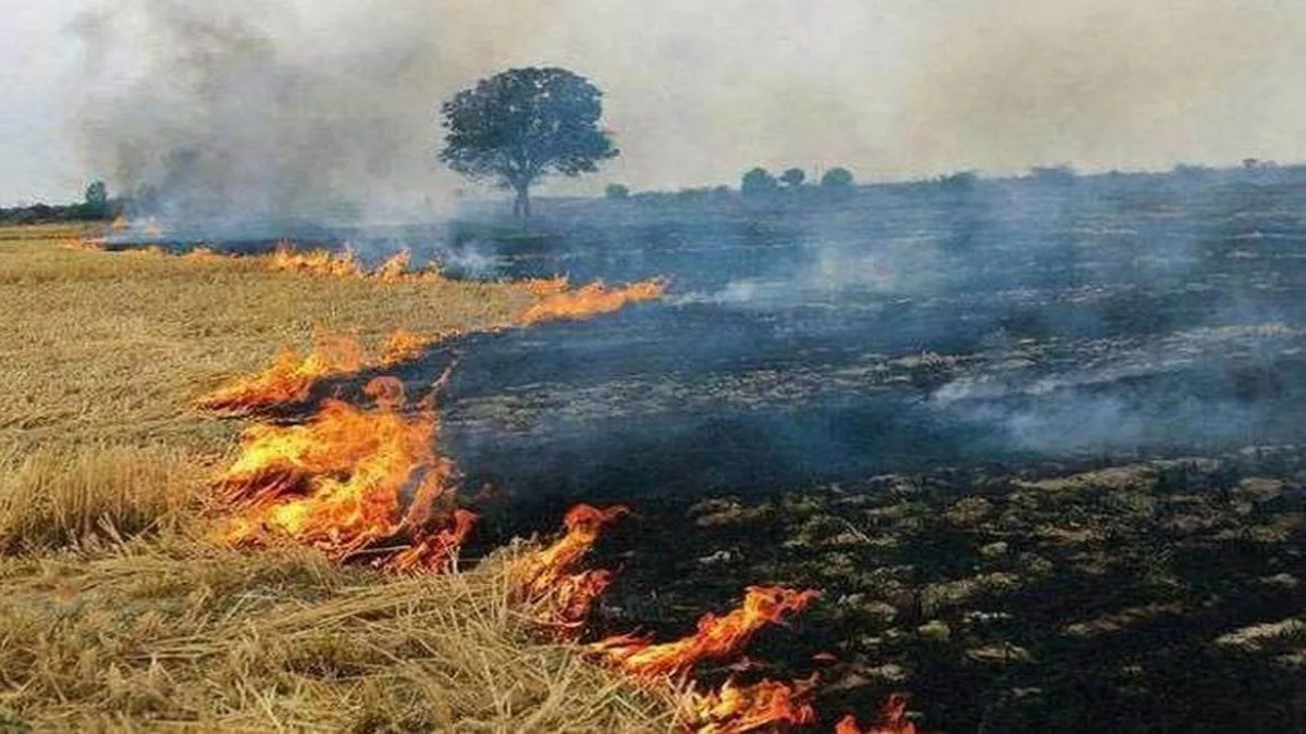 दिल्ली में पराली जलाने पर नया जुर्माना, किसानों को 30,000 रुपये तक लगेगा पेनल्टी