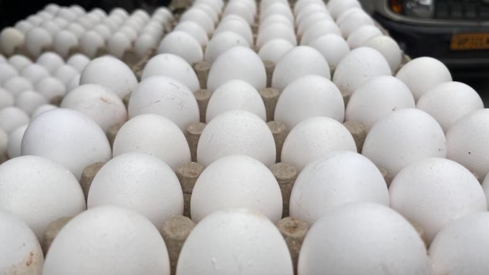 भारत में सस्ते हो गए अंडे